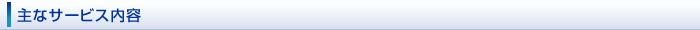 主なサービス内容